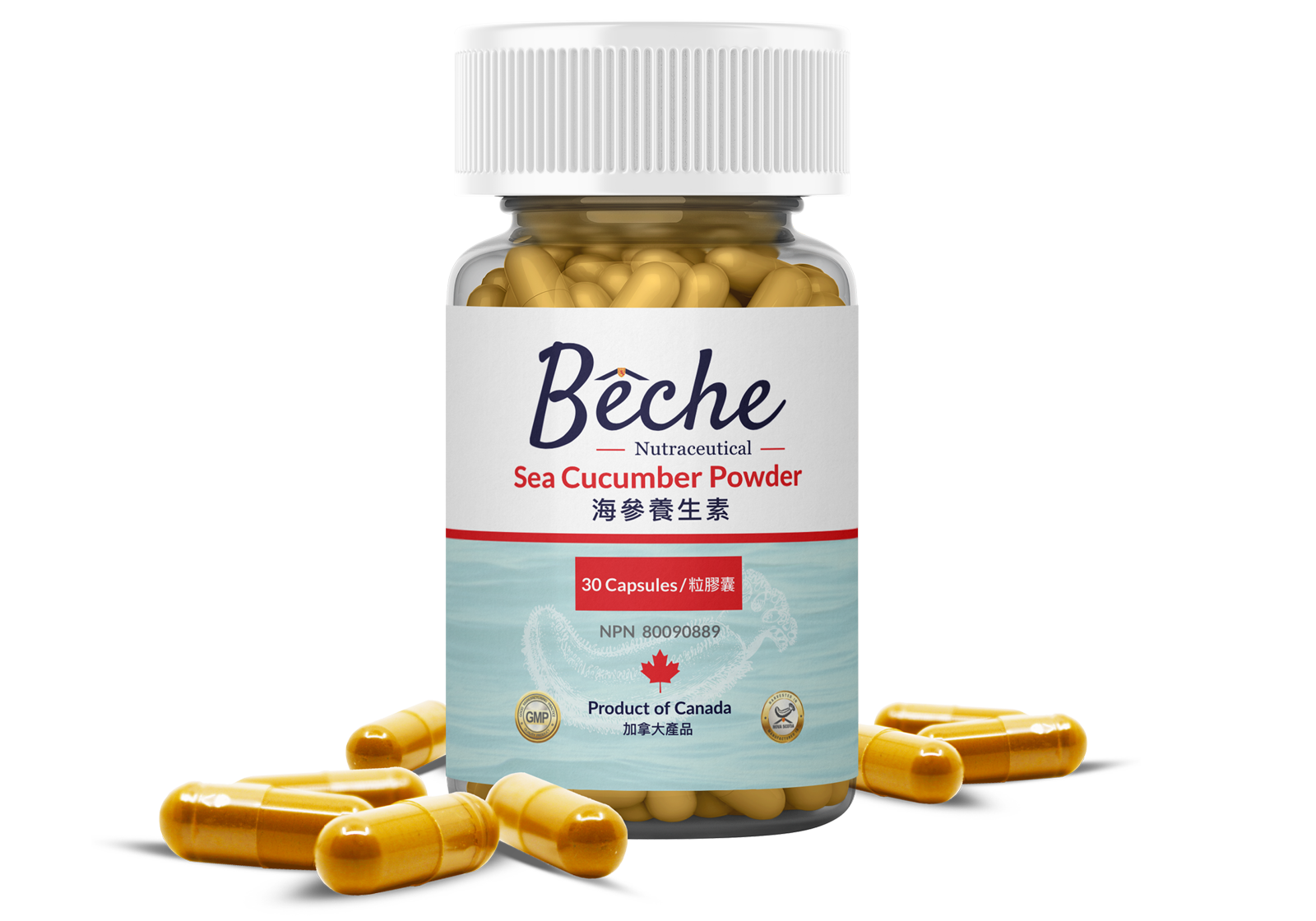 HK Bottle sea cucumber powder